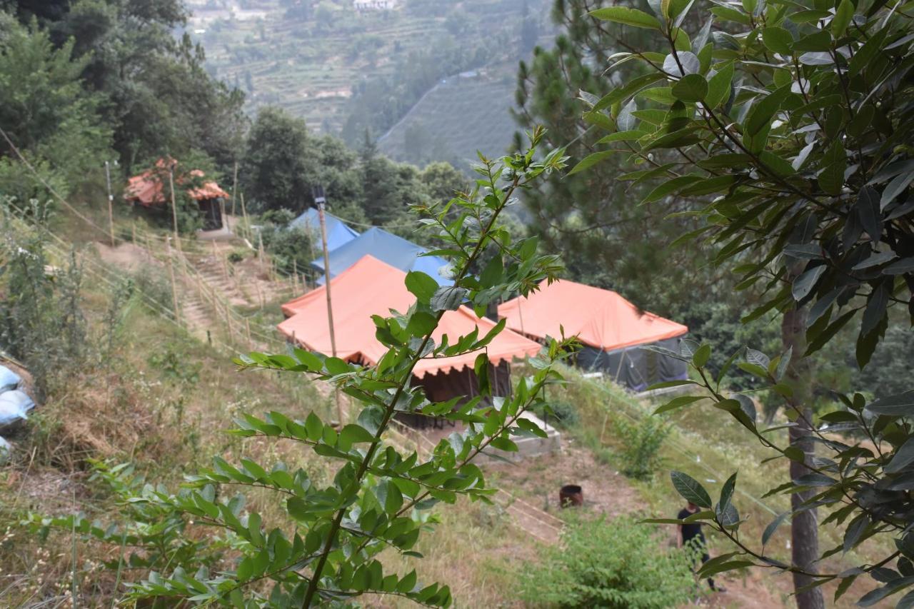 Forest Acres Camps Mukteshwar Ngoại thất bức ảnh