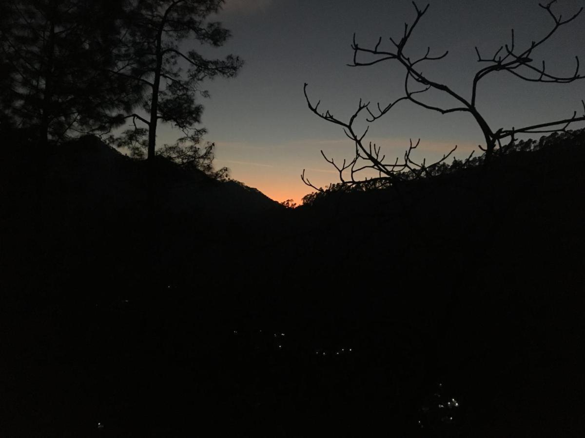 Forest Acres Camps Mukteshwar Ngoại thất bức ảnh