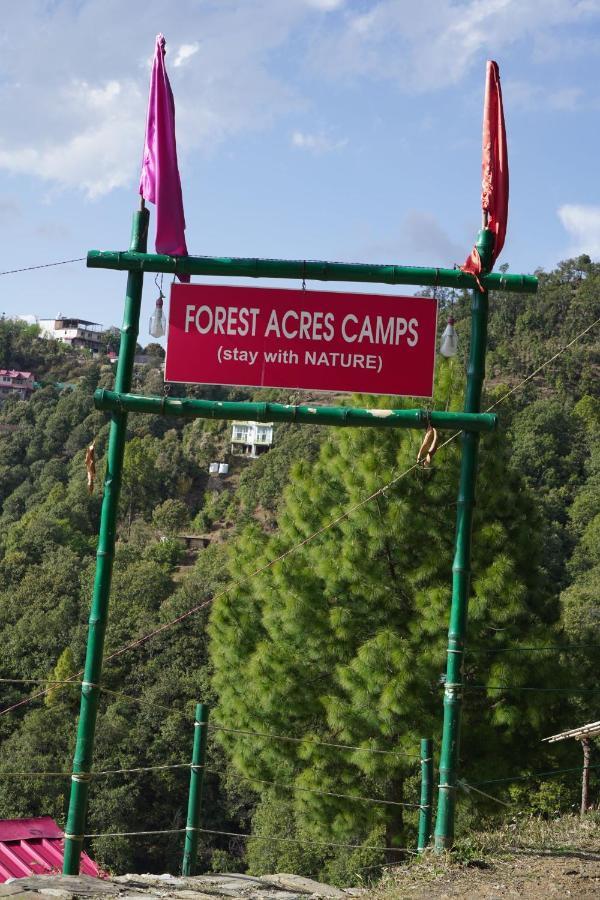 Forest Acres Camps Mukteshwar Ngoại thất bức ảnh
